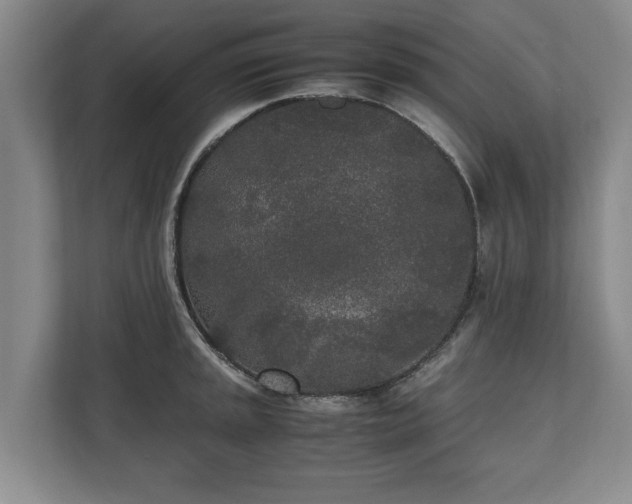 X0000110691045200906191503