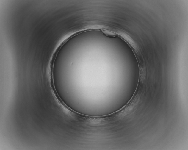 X0000110691046200906191503