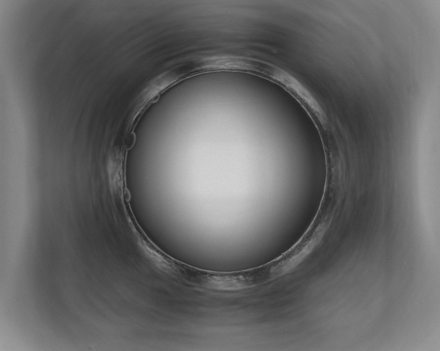 X0000110691049200906191503