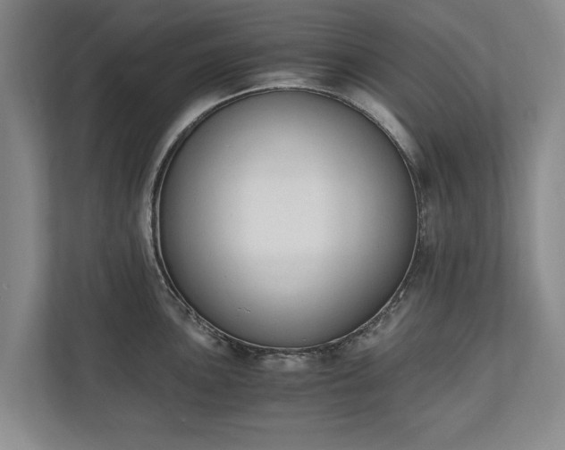 X0000110691051200906191503