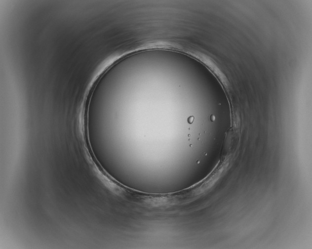 X0000110691054200906191503