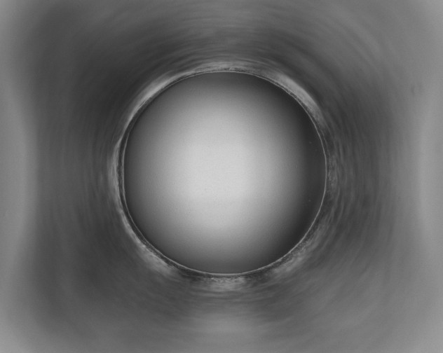 X0000110691055200906191503