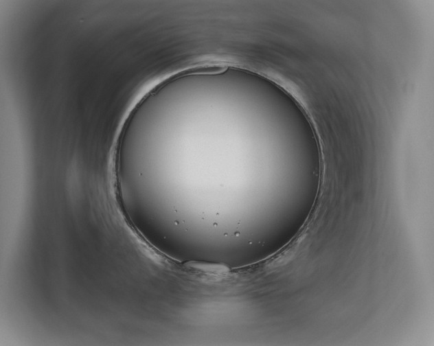 X0000110691056200906191503