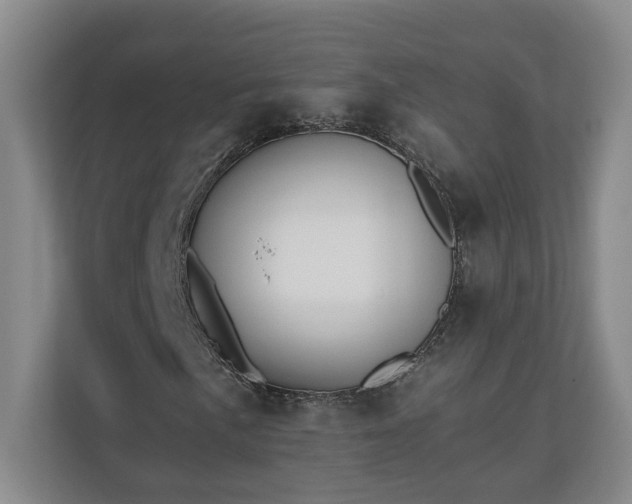 X0000110691057200906191503