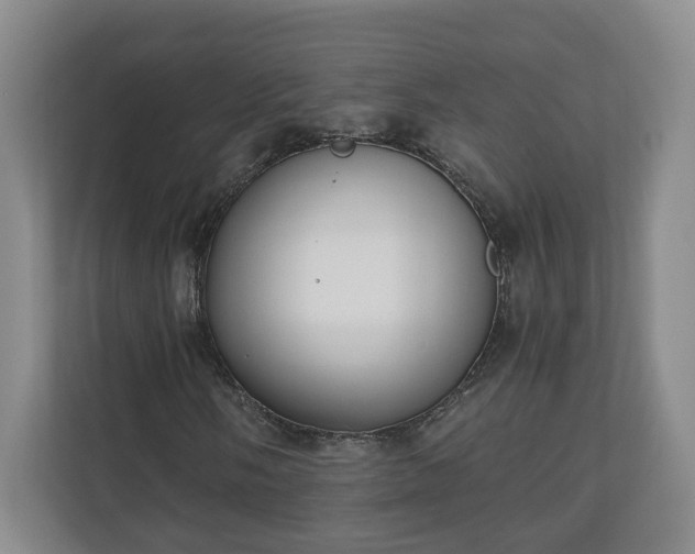 X0000110691058200906191503