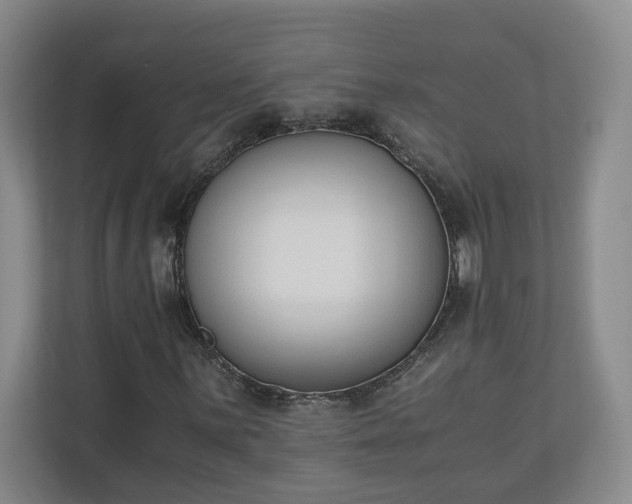 X0000110691059200906191503