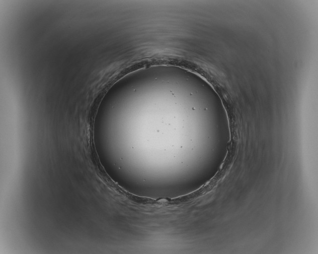 X0000110691061200906191503