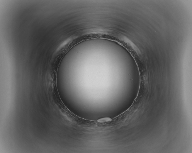 X0000110691064200906191503