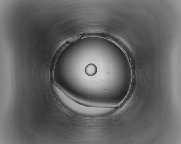 X0000110691065200906191503