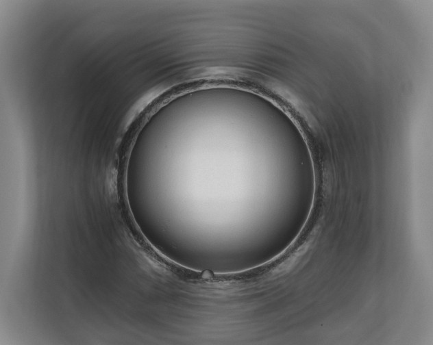 X0000110691066200906191503