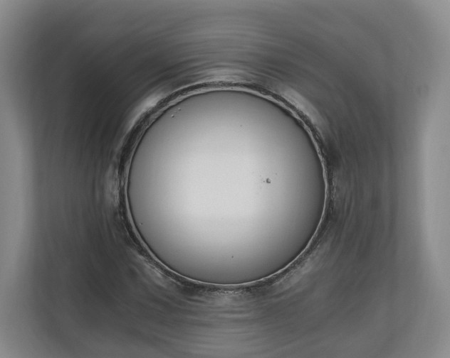 X0000110691067200906191503