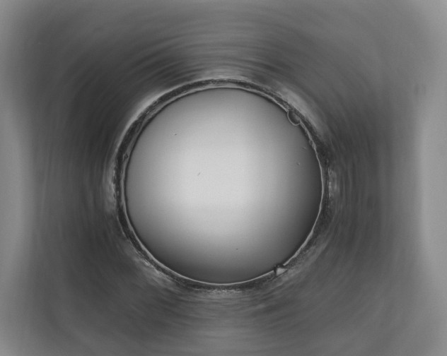 X0000110691068200906191503