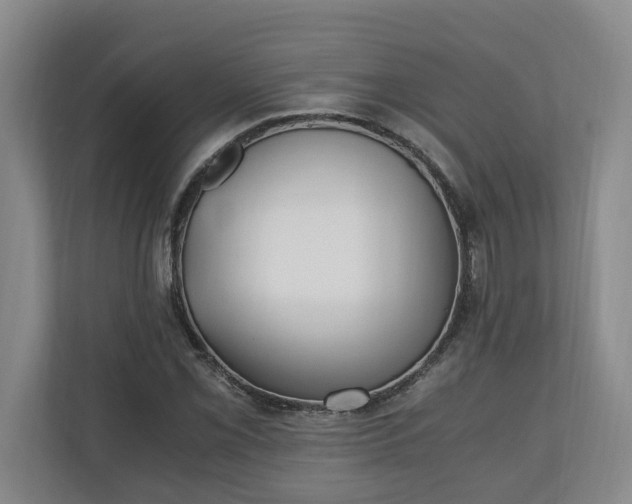 X0000110691069200906191503