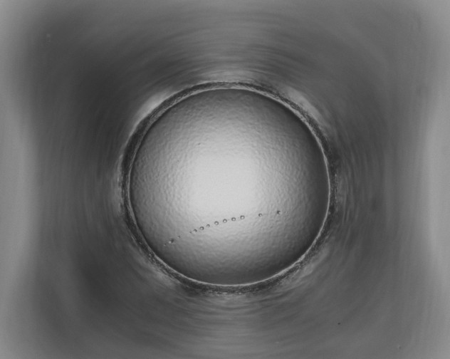 X0000110691071200906191503