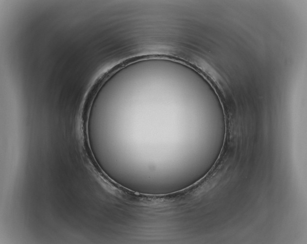 X0000110691072200906191503