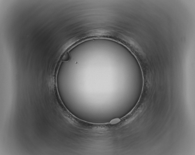 X0000110691073200906191503