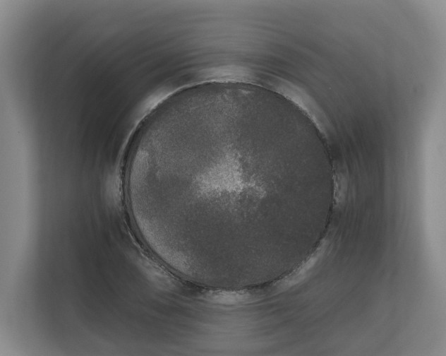 X0000110691074200906191503