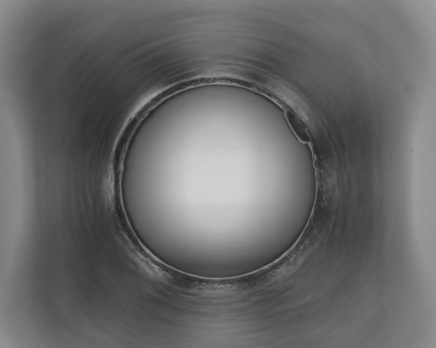 X0000110691076200906191503