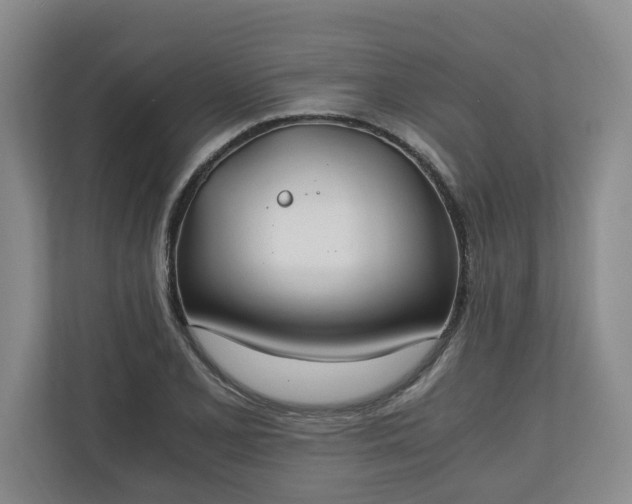 X0000110691077200906191503