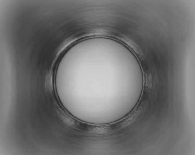 X0000110691078200906191502