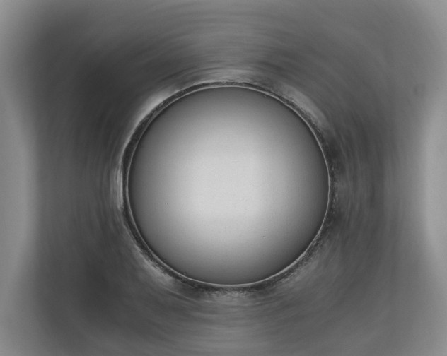 X0000110691079200906191502