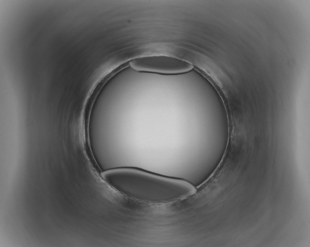 X0000110691080200906191502