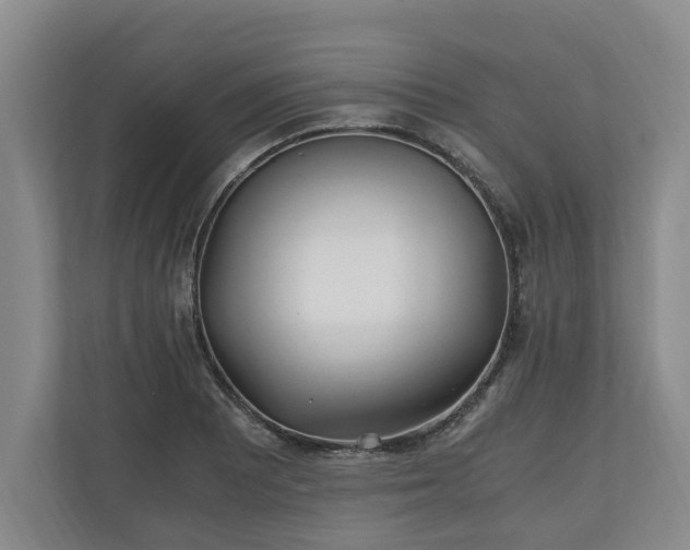 X0000110691081200906191502