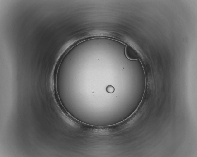 X0000110691082200906191502