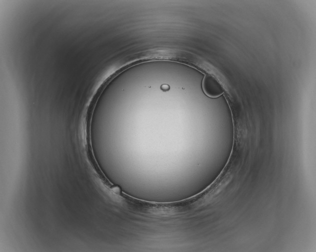 X0000110691083200906191502