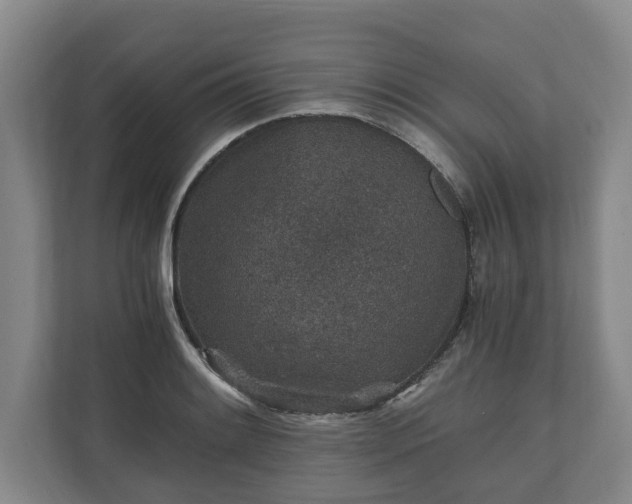 X0000110691084200906191502