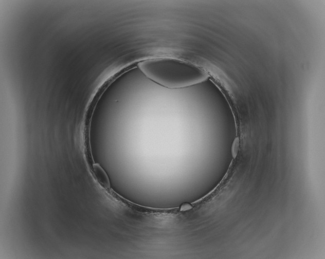 X0000110691085200906191502