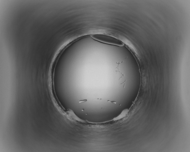 X0000110691088200906191502