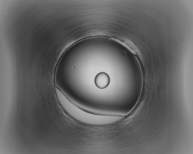 X0000110691089200906191502