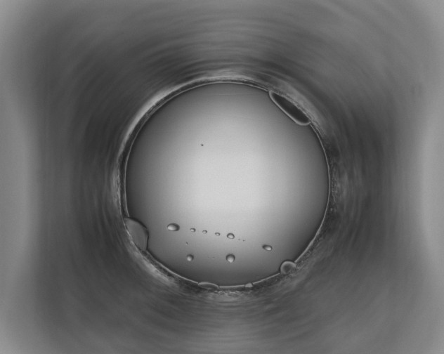 X0000110691092200906191502