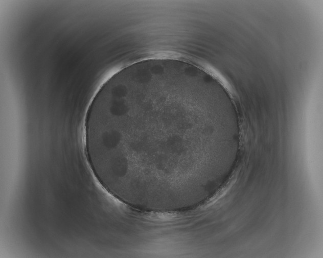 X0000110691095200906191502