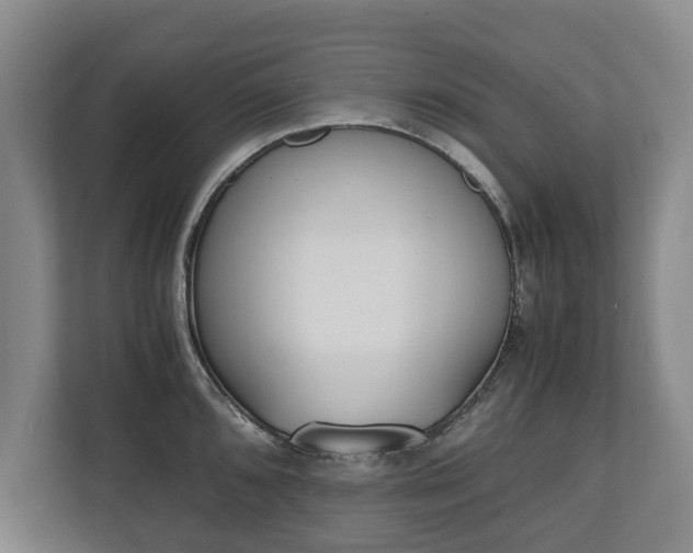 X0000110691096200906191502