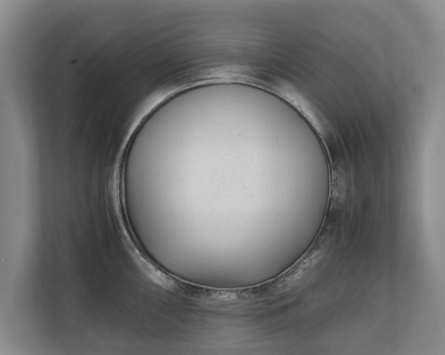 X0000110691098200906191502