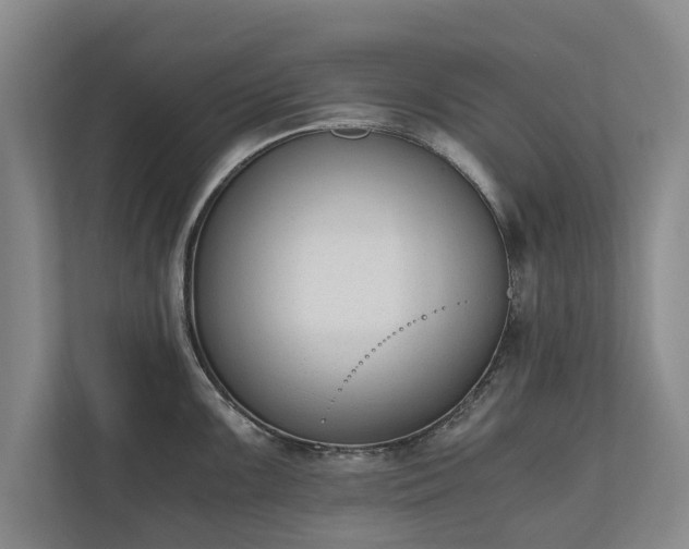 X0000110691099200906191502