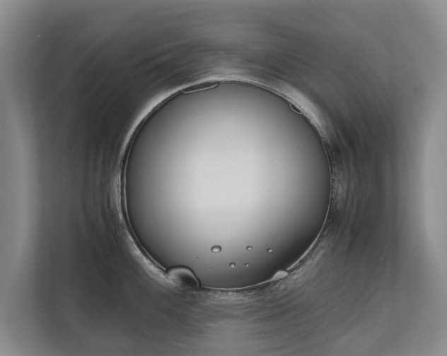 X0000110691100200906191502