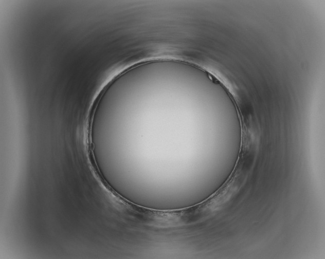 X0000110691101200906191502