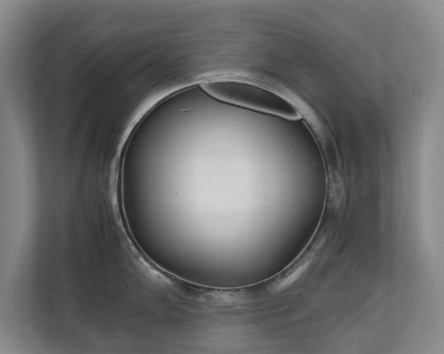 X0000110691102200906191502