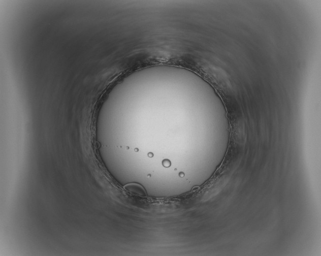 X0000110691105200906191502