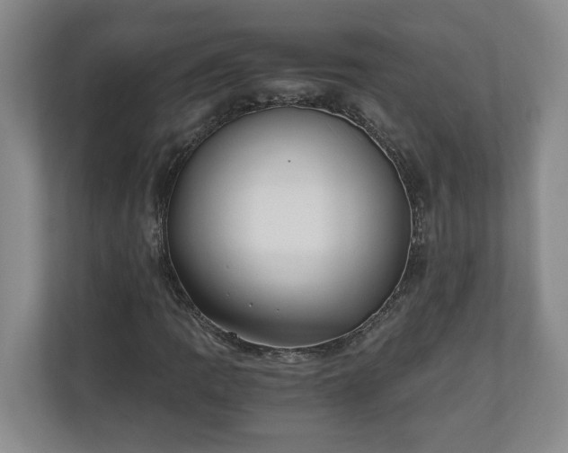 X0000110691109200906191502