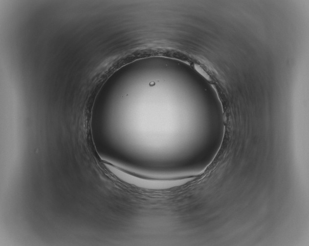 X0000110691110200906191502