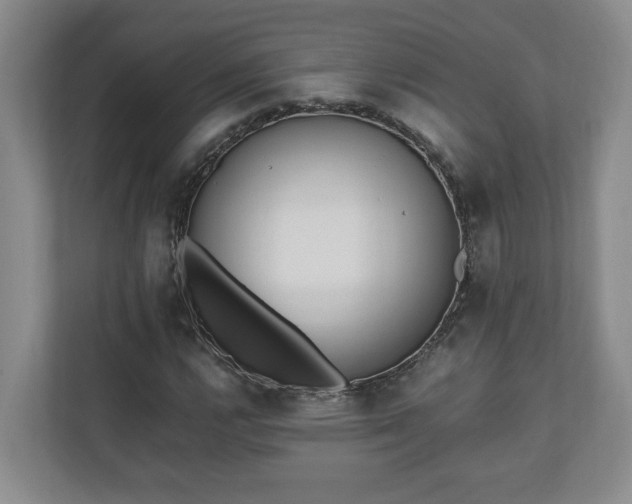 X0000110691112200906191502