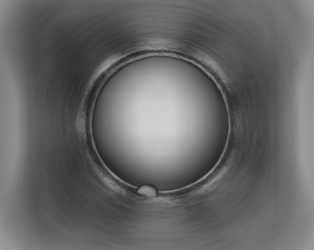 X0000110691114200906191502