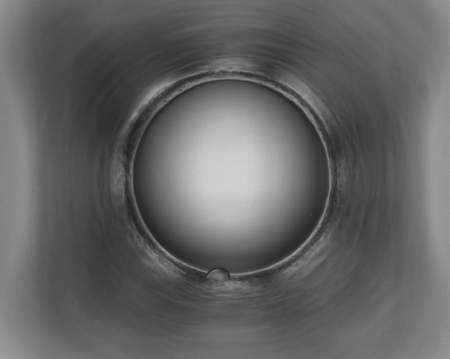 X0000110691115200906191502