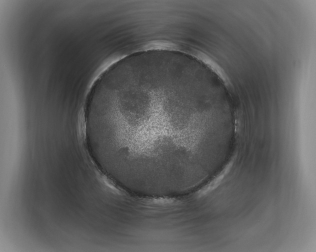 X0000110691117200906191502