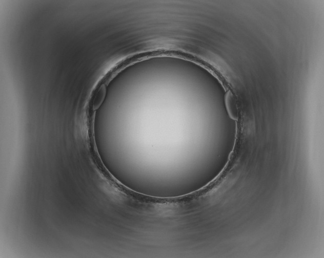 X0000110691118200906191502