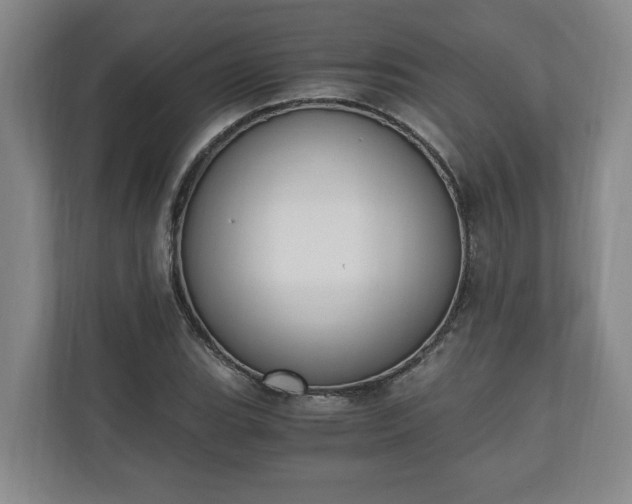 X0000110691119200906191502